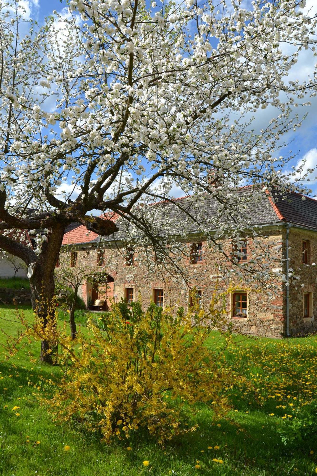 Ferienwohnung Selsky Dvur Kájov Exterior foto